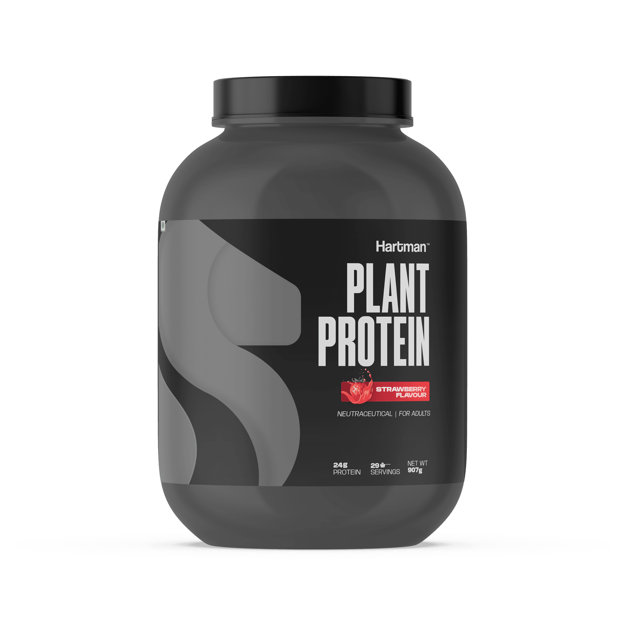 Plant Protein